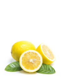 imgi_42_product11-free-img